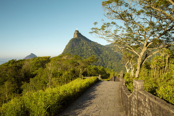 panorama da floresta da tijuca no rio de janeiro